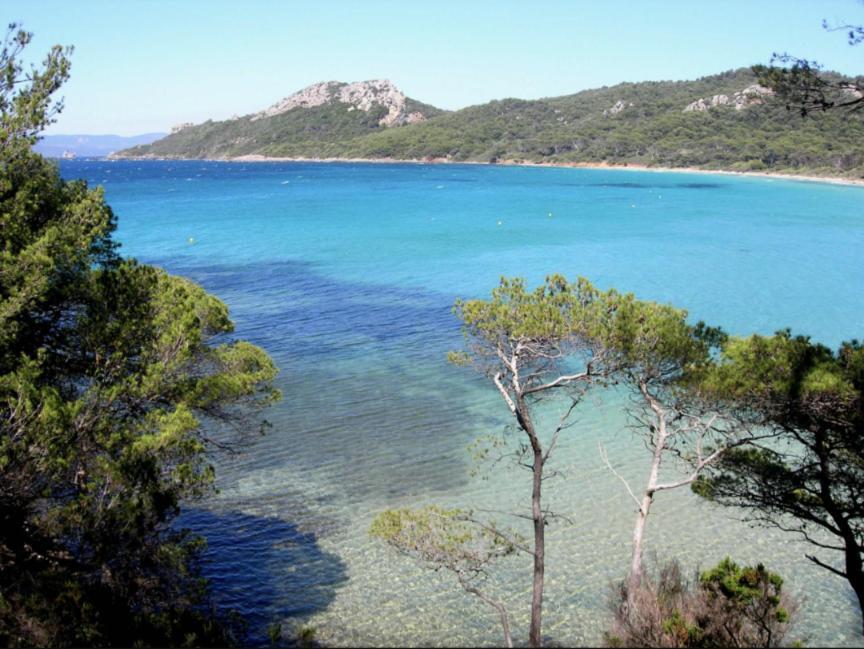 Superbe T2 Proche Des Plages Et Des Commerces Hyères Esterno foto